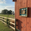 14 Buckle Display with 8x10 Picture Frame - No Stars