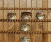 8 Buckle Western Buckle Display with 5x7 Frame - Other Backgrounds Available