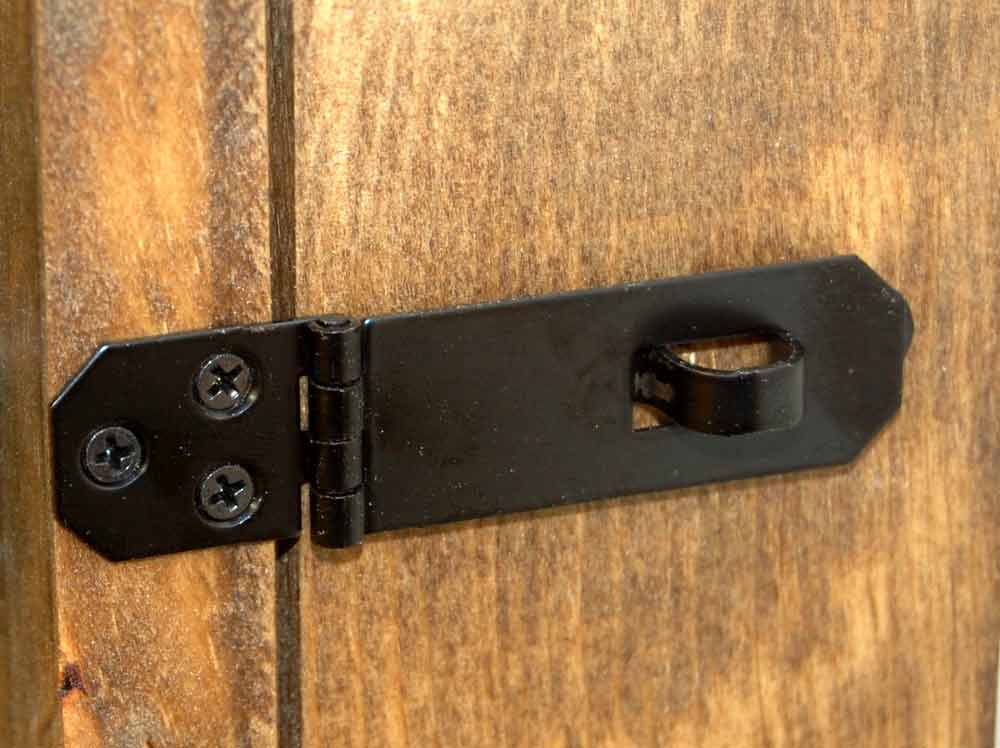 20 Buckle Display Case  - Glass Door Front - Other Backgrounds Available image 2